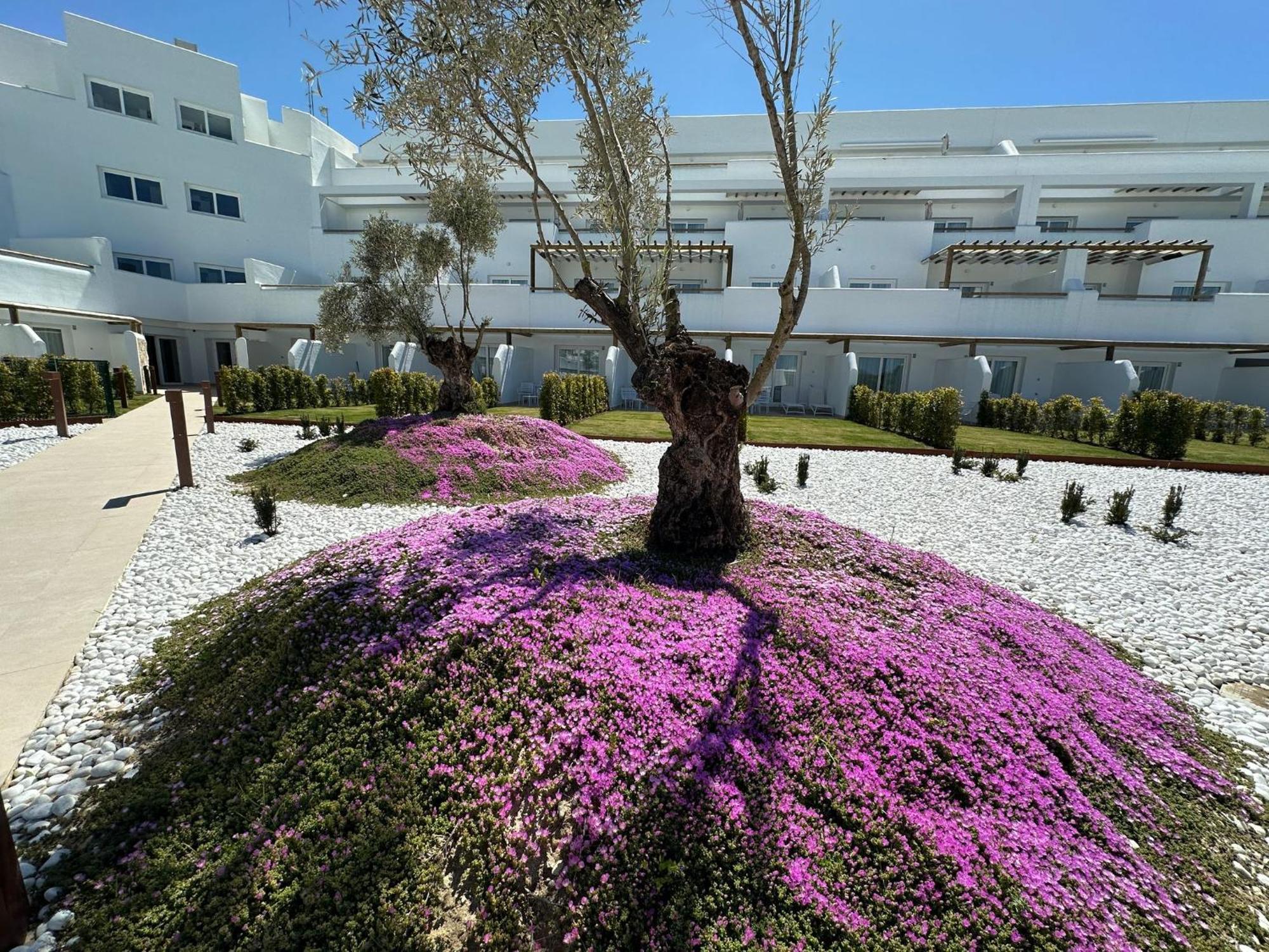 רוטה Punta Candor Suites מראה חיצוני תמונה